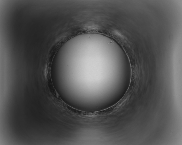X0000087741157200705291007