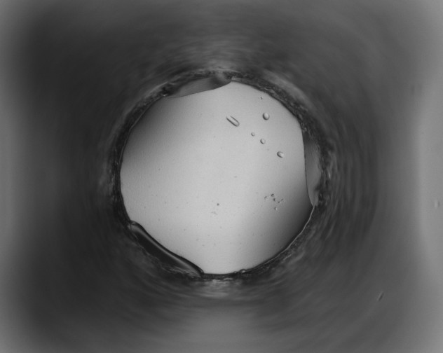 X0000087741160200705291007