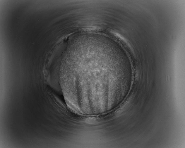 X0000087741161200705291007