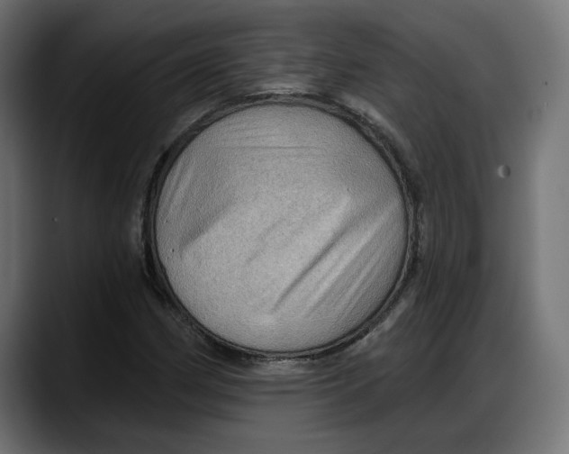 X0000087741162200705291007