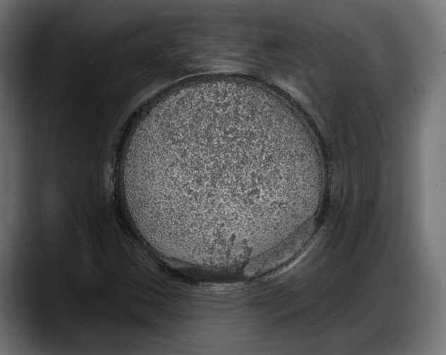 X0000087741163200705291007