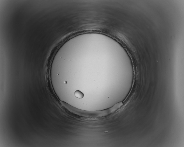 X0000087741164200705291007