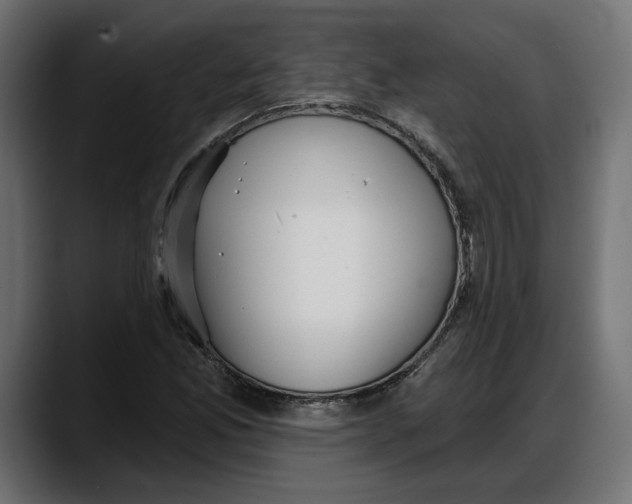X0000087741165200705291007