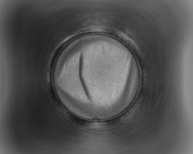 X0000087741166200705291007
