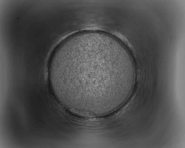 X0000087741167200705291007