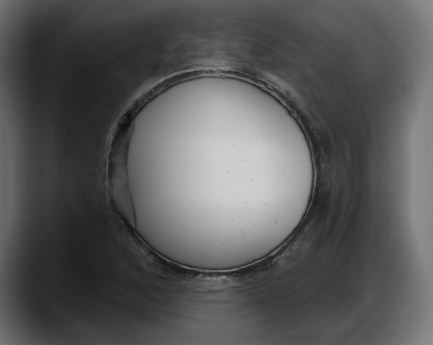 X0000087741168200705291007