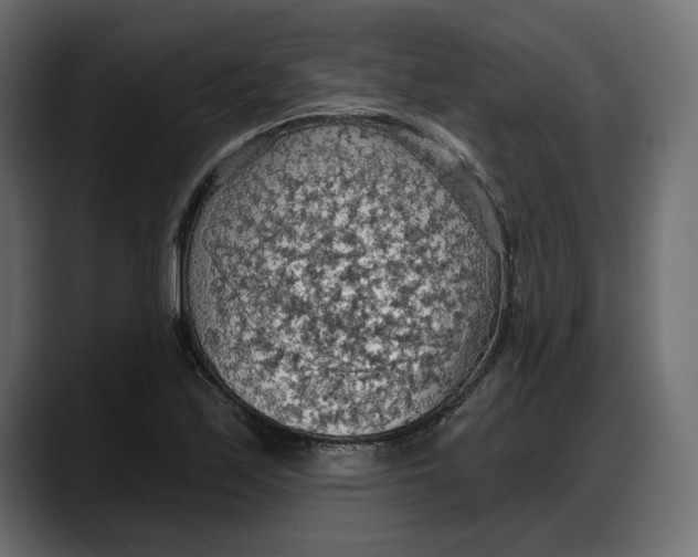 X0000087741171200705291007