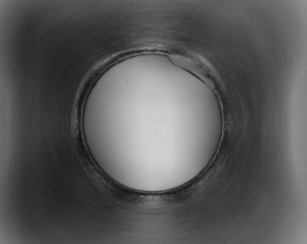 X0000087741172200705291007