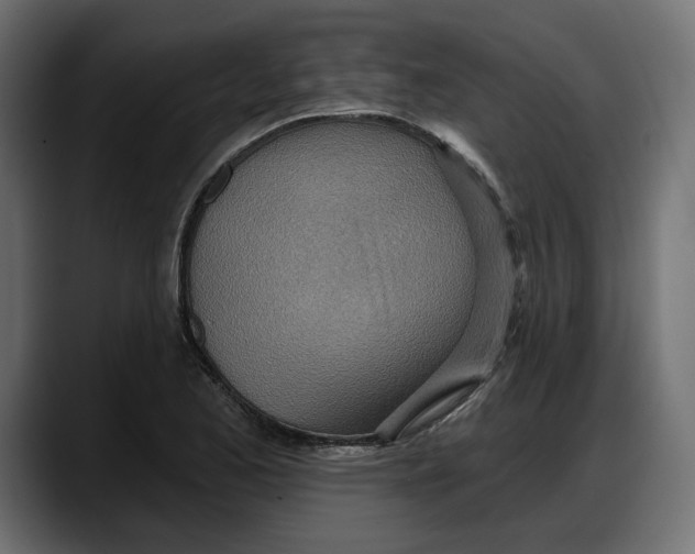 X0000087741173200705291007