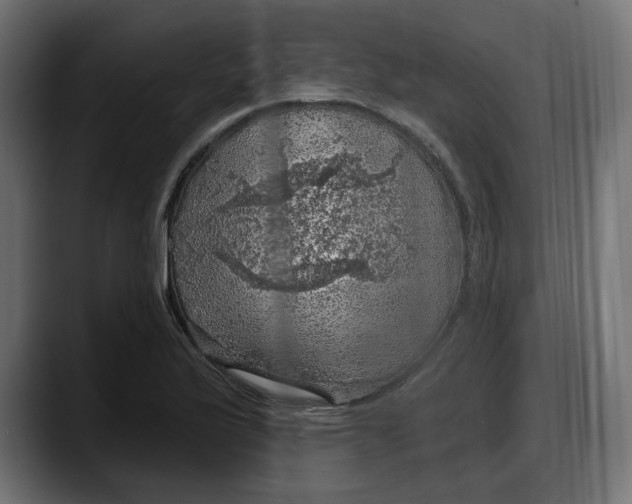 X0000087741175200705291007