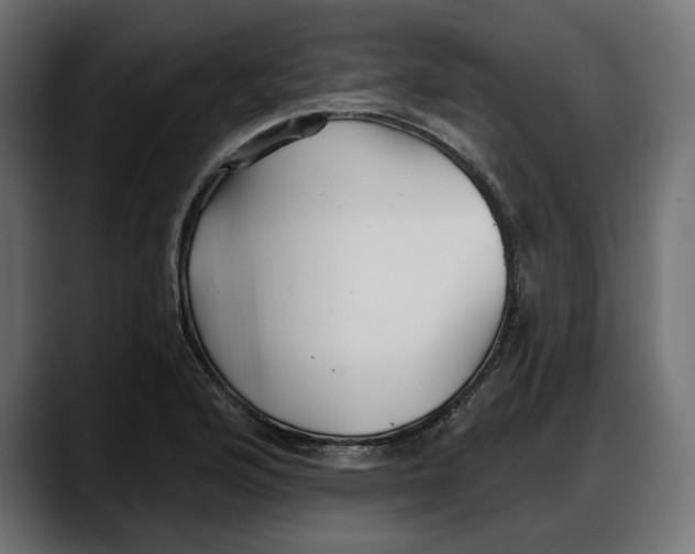X0000087741176200705291007