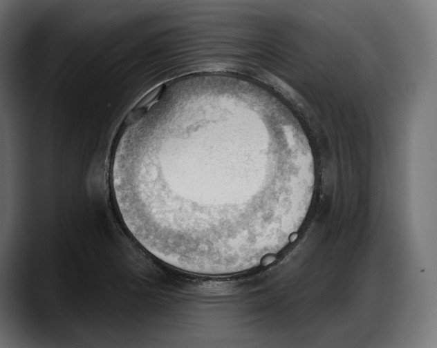 X0000087741178200705291006