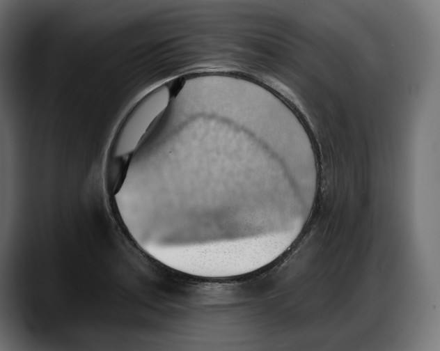 X0000087741179200705291006