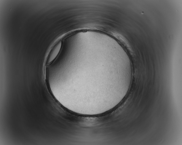 X0000087741180200705291006