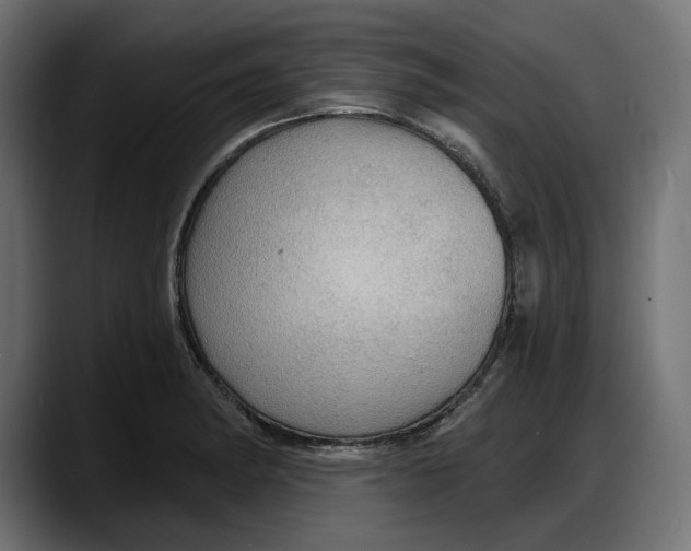 X0000087741182200705291006