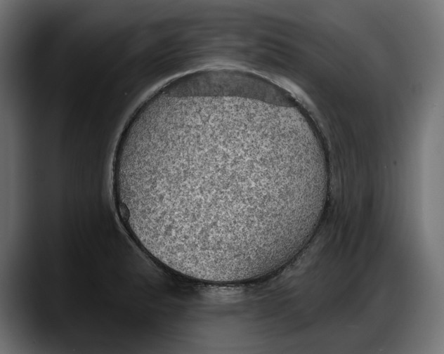X0000087741183200705291006