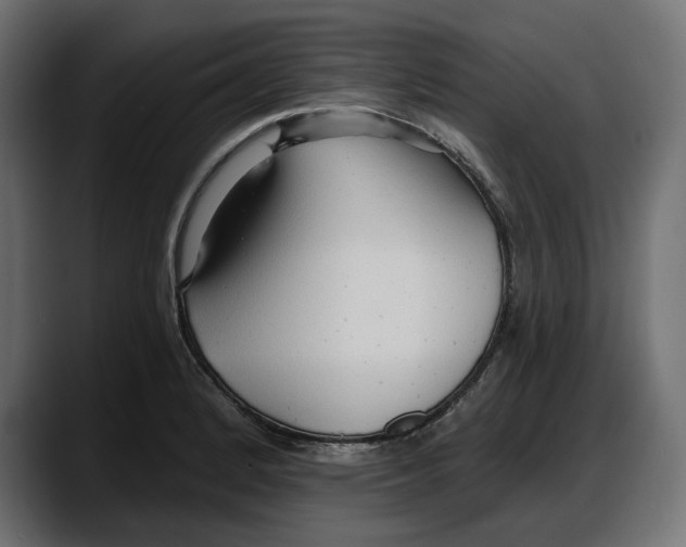 X0000087741184200705291006