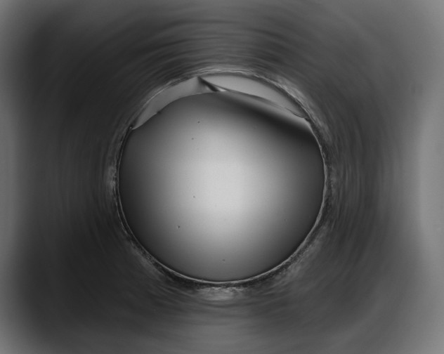 X0000087741185200705291006