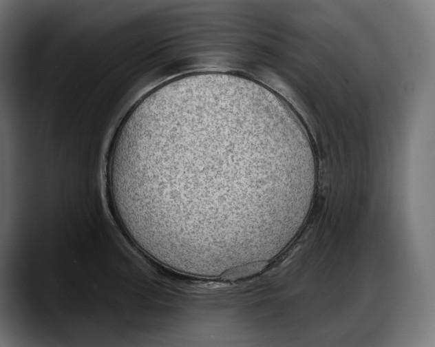 X0000087741187200705291006