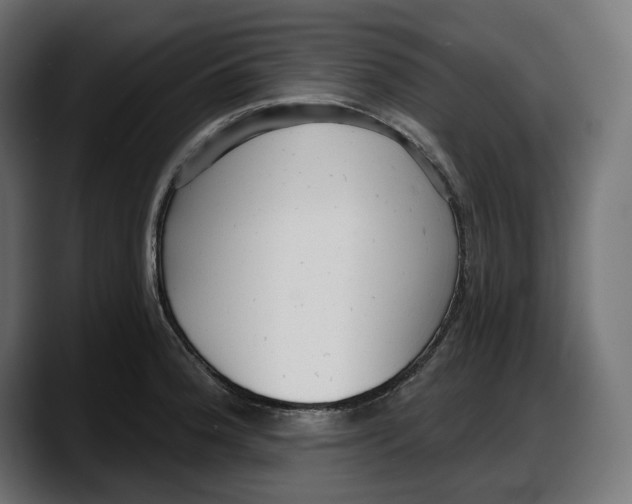 X0000087741188200705291006