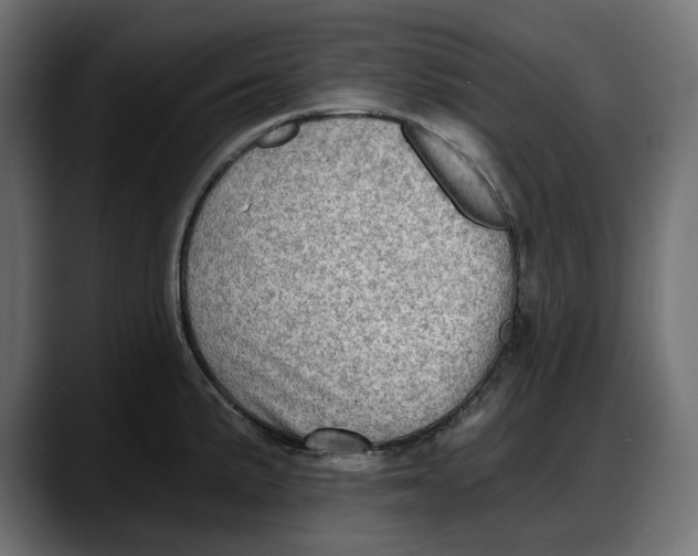 X0000087741191200705291006
