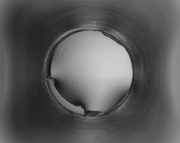 X0000087741192200705291006