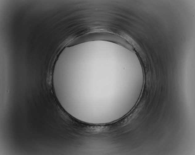 X0000087741193200705291006