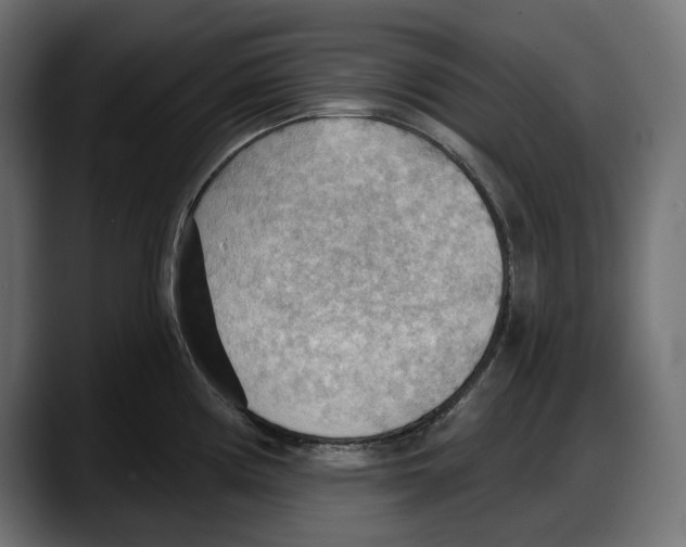 X0000087741194200705291006