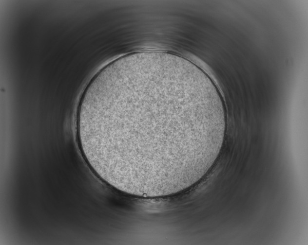 X0000087741195200705291006