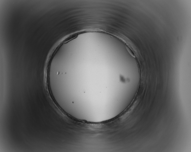 X0000087741196200705291006