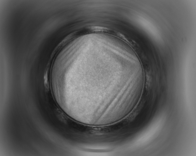 X0000087741198200705291006
