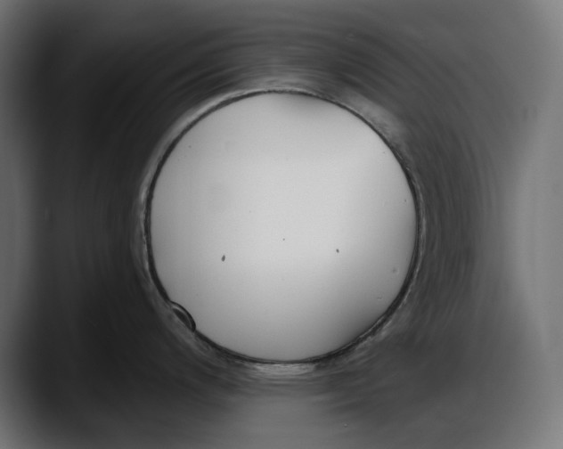 X0000087741200200705291006