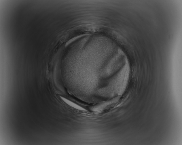 X0000087741202200705291006