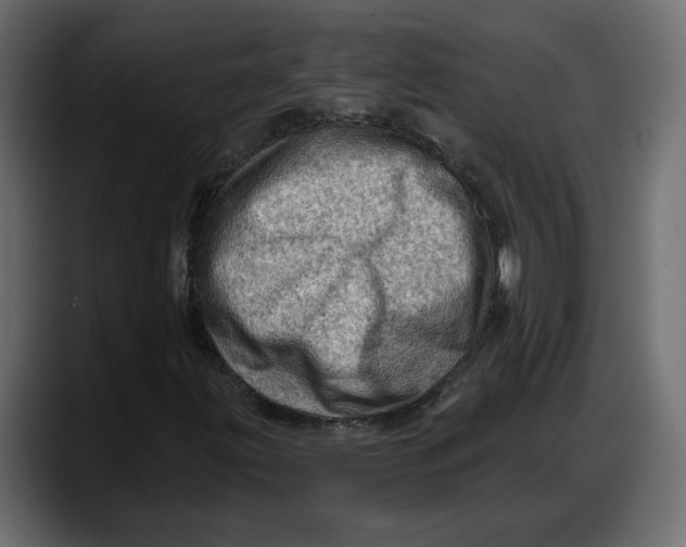 X0000087741203200705291006