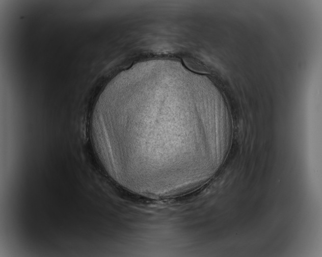X0000087741205200705291006