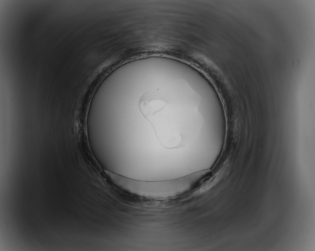 X0000087741210200705291006