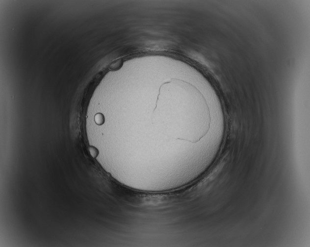 X0000087741211200705291006