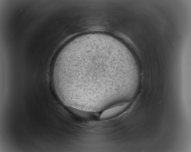 X0000087741212200705291006