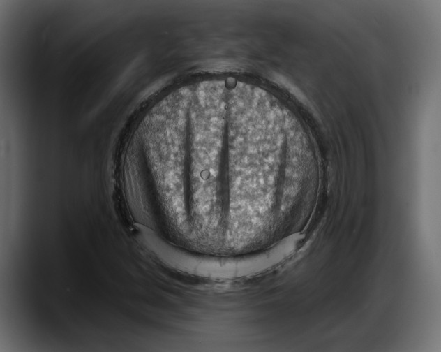 X0000087741213200705291006