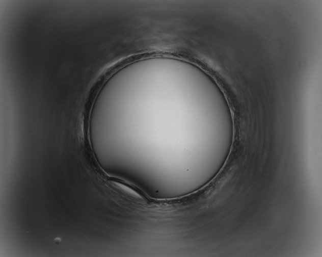 X0000087741214200705291006