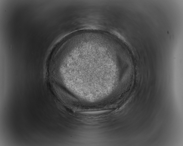 X0000087741215200705291006
