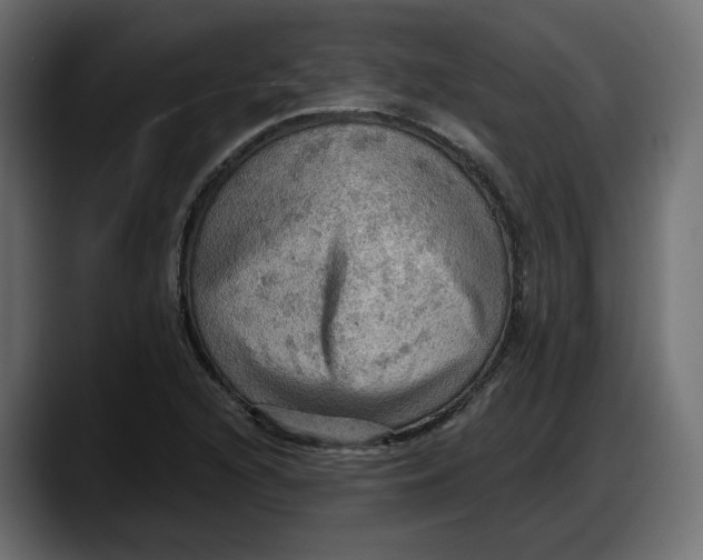 X0000087741216200705291006