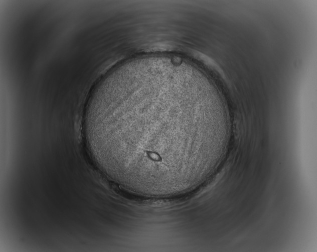 X0000087741217200705291006
