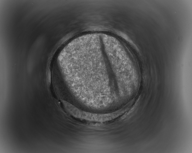X0000087741221200705291006