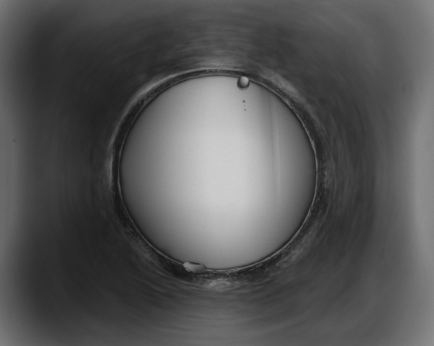 X0000087741222200705291006