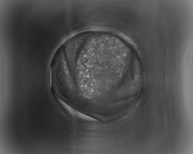 X0000087741223200705291006