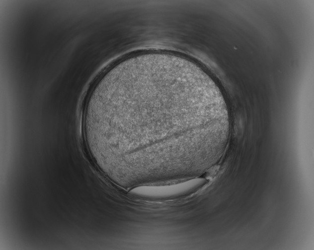 X0000087741224200705291006