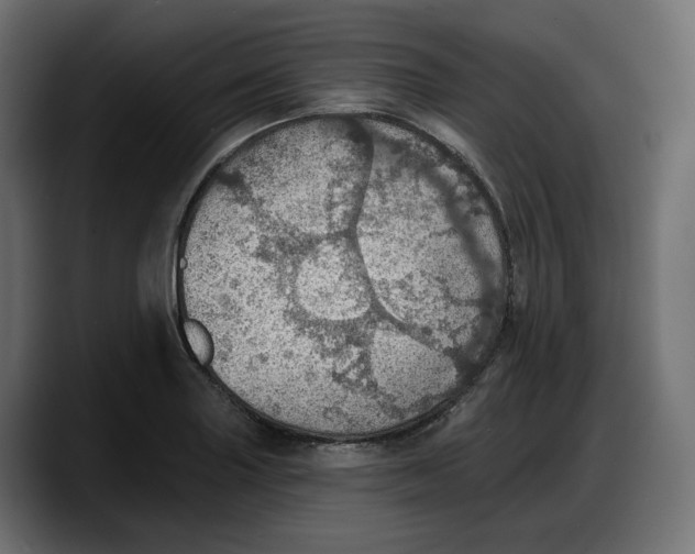 X0000087741227200705291006