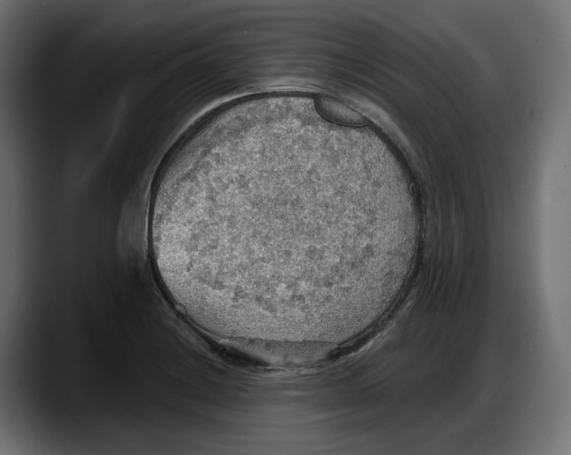 X0000087741228200705291006