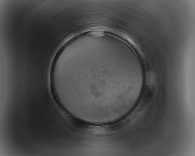X0000087741229200705291006